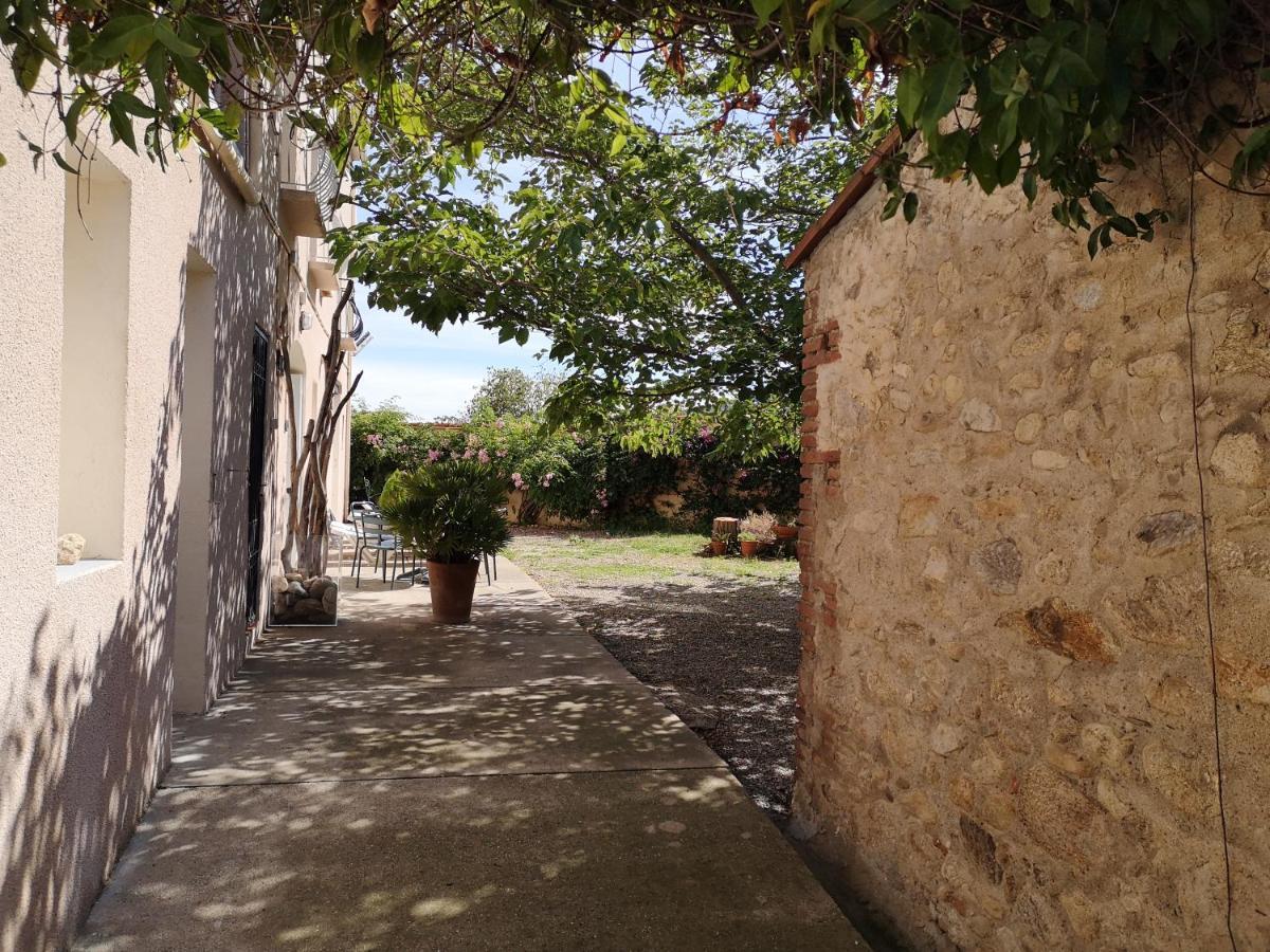 Mas Paret Studio Plein Sud - Parc 1 Ha Au Calme Argeles-sur-Mer Exterior photo